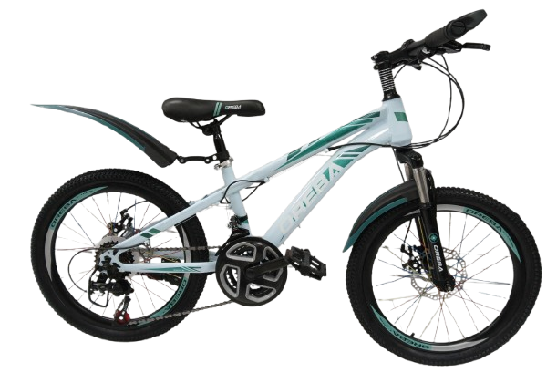 Vélo 20-OREBA