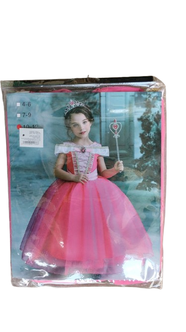Robe de Princesse
