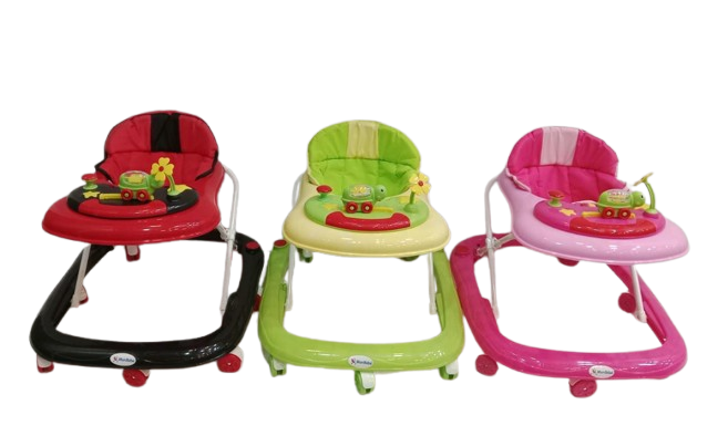 Youpala tortue