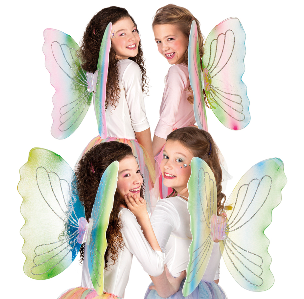AILES CHARMEIENE 4 ASS