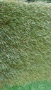 Gazon artificiel 38