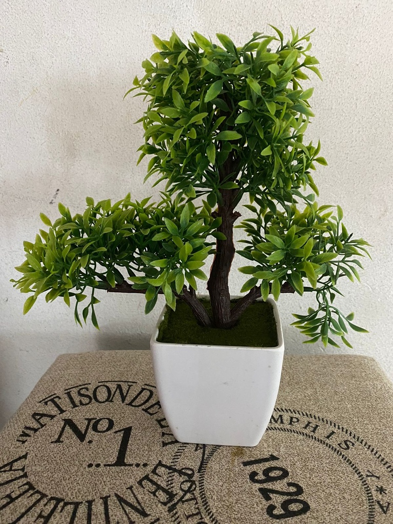 VASA ARBRE