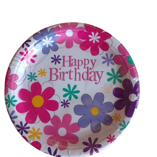 10 Assiettes Happy Birthday Girl