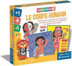 [52798] Le corps humain - Montessori