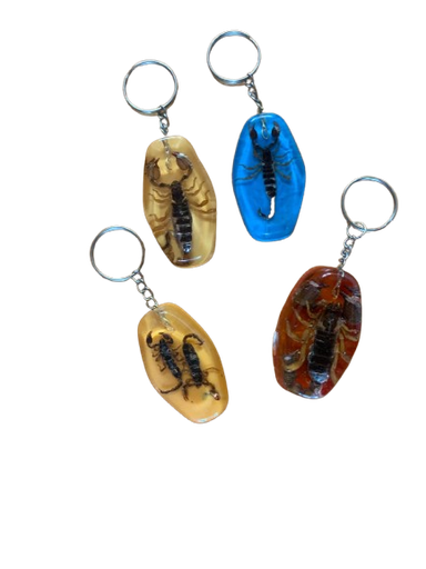 [HJ-SC] Porte Clés Scorpion