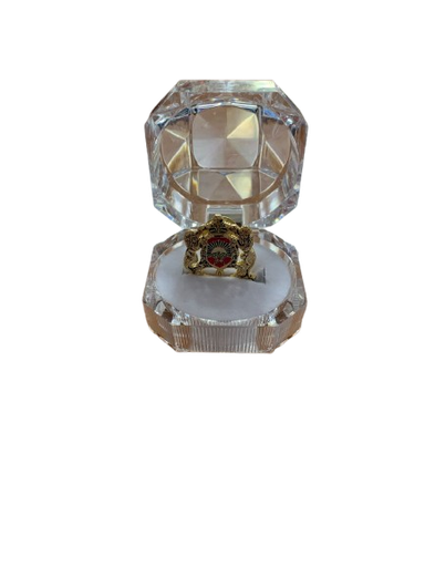 [HJ-BR-20] Badge Royale Marocaine MM