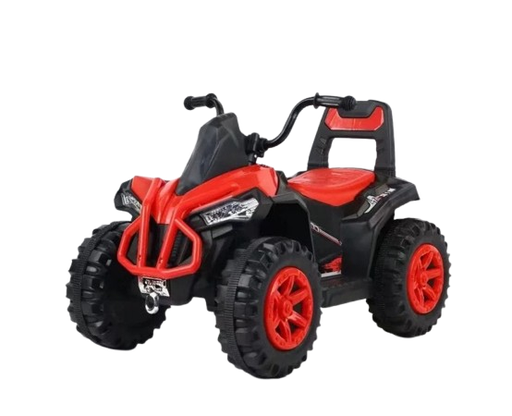 [9958] Quad électrique