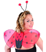 [52853] AILES ET BADEAU COCCINELLE