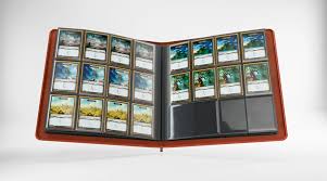 [CARTE-19] Album cartes Pokémon