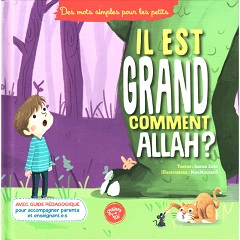 [9782931070055] Il est grand comment Allah?