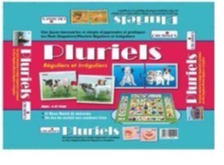 [1081] LES NOMS AU PLURIEL