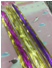 [O-5] Ruban cadeau N° 3