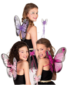 [52857] SET PAPILLON AILES/BAGUETTE 3 ASS