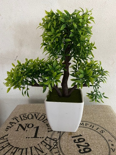 [SG2540] VASA ARBRE