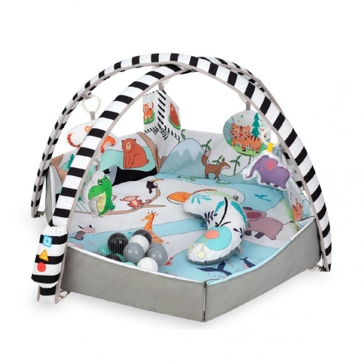 [AR04288] Tapis de jeux éducatifs avec balles QKIDS
