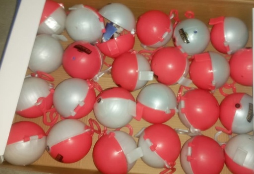 [123-63] Boules Surprise Pokémon