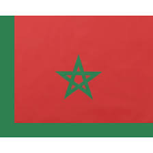 [P213] 20 SERVIETTES MAROC 33X33CM
