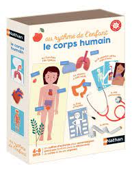 [DSET-1120600021] Le corps Humain